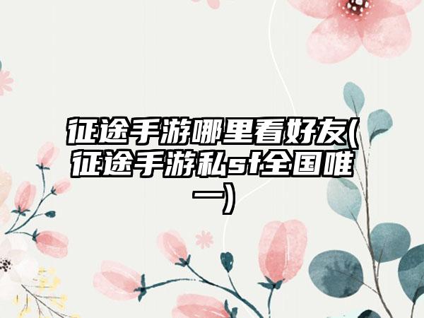 征途手游哪里看好友(征途手游私sf全国唯一)