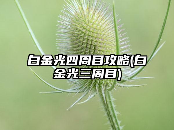 白金光四周目攻略(白金光三周目)