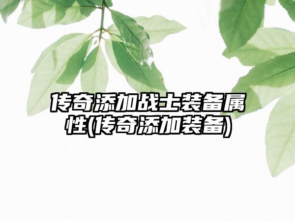 传奇添加战士装备属性(传奇添加装备)