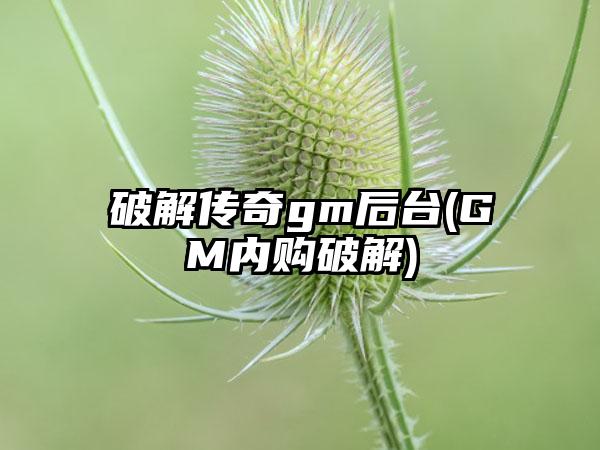 破解传奇gm后台(GM内购破解)