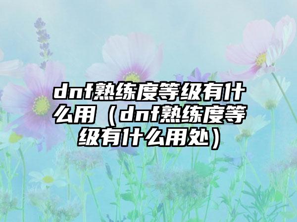 dnf熟练度等级有什么用（dnf熟练度等级有什么用处）