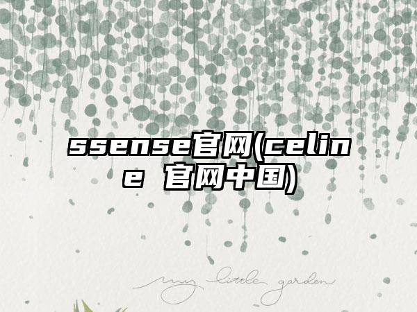 ssense官网(celine 官网中国)