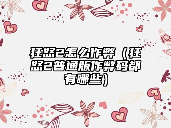 狂怒2怎么作弊（狂怒2普通版作弊码都有哪些）