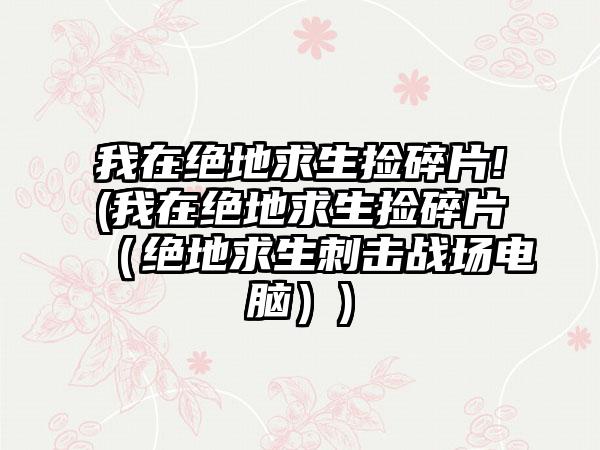 我在绝地求生捡碎片!(我在绝地求生捡碎片（绝地求生刺击战场电脑）)