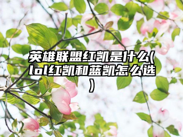 英雄联盟红凯是什么(lol红凯和蓝凯怎么选)