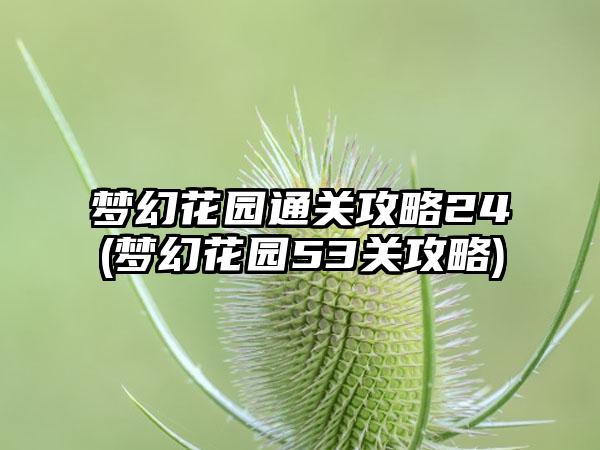 梦幻花园通关攻略24(梦幻花园53关攻略)