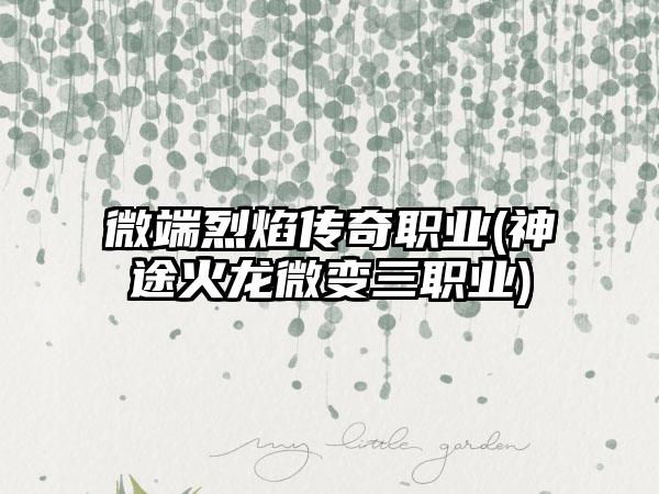 微端烈焰传奇职业(神途火龙微变三职业)