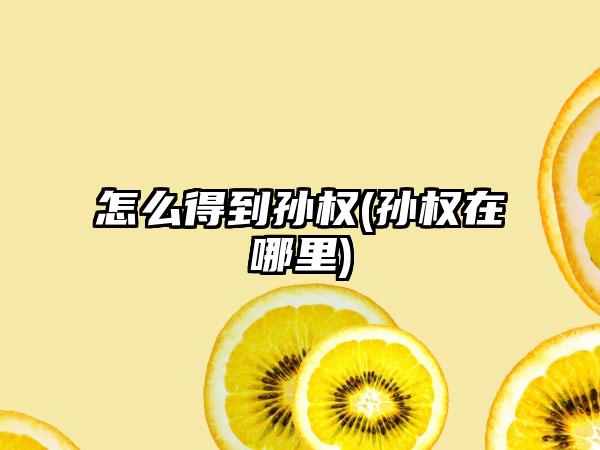 怎么得到孙权(孙权在哪里)