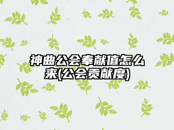 神曲公会奉献值怎么来(公会贡献度)