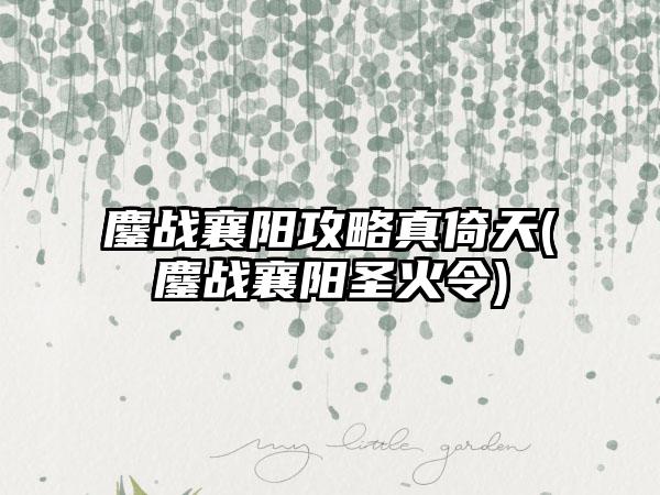 鏖战襄阳攻略真倚天(鏖战襄阳圣火令)