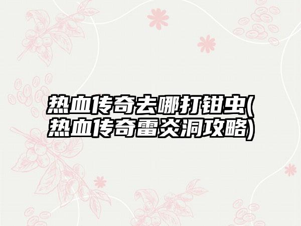 热血传奇去哪打钳虫(热血传奇雷炎洞攻略)