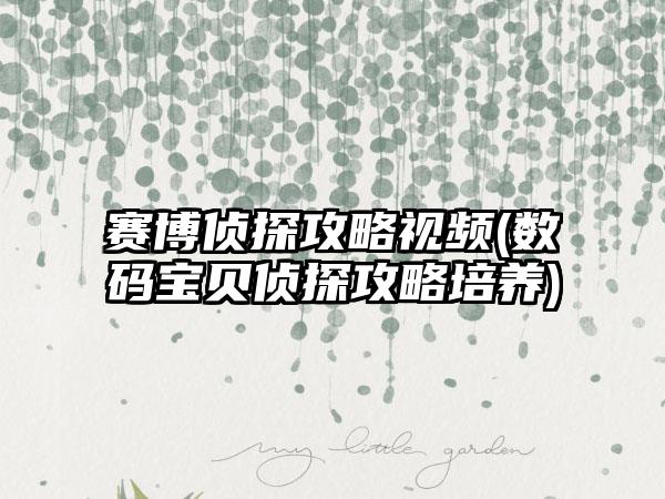 赛博侦探攻略视频(数码宝贝侦探攻略培养)