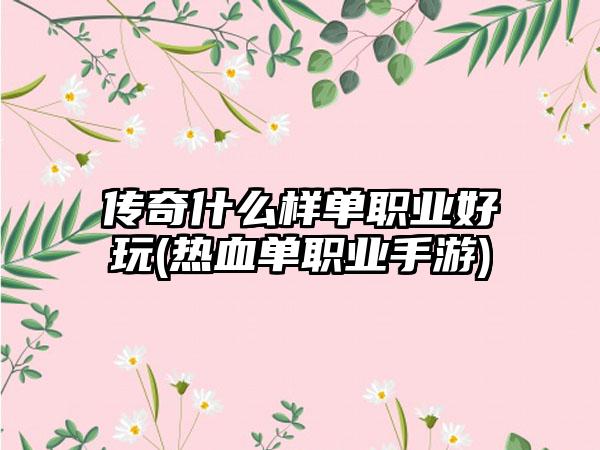 传奇什么样单职业好玩(热血单职业手游)
