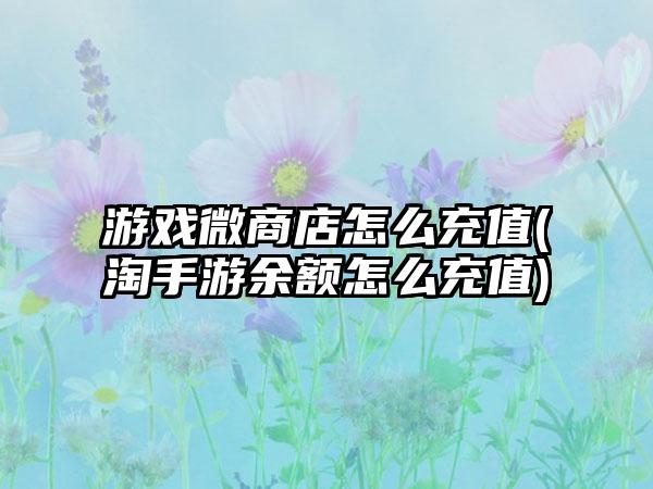 游戏微商店怎么充值(淘手游余额怎么充值)