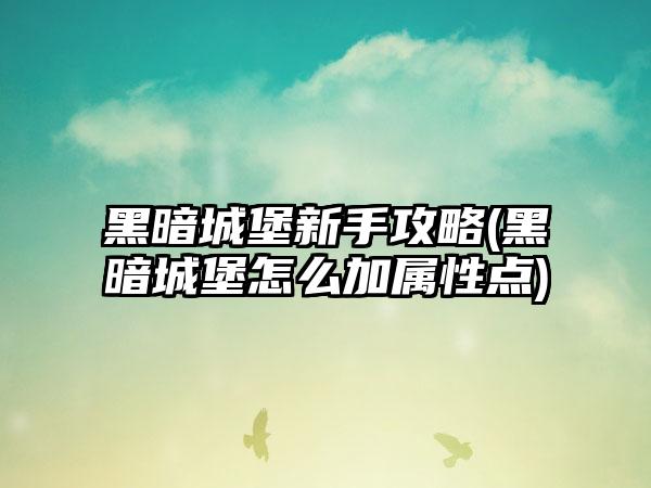 黑暗城堡新手攻略(黑暗城堡怎么加属性点)