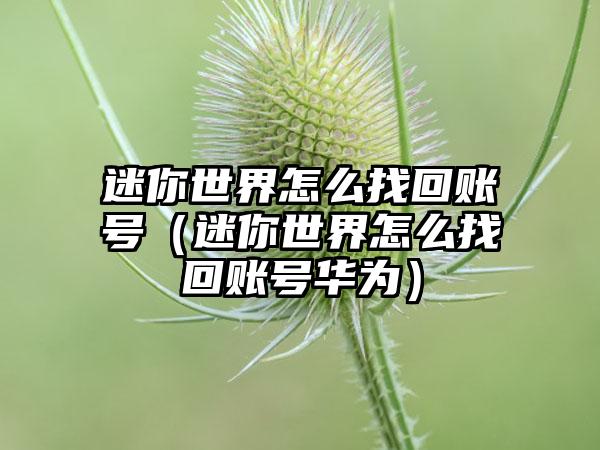 迷你世界怎么找回账号（迷你世界怎么找回账号华为）