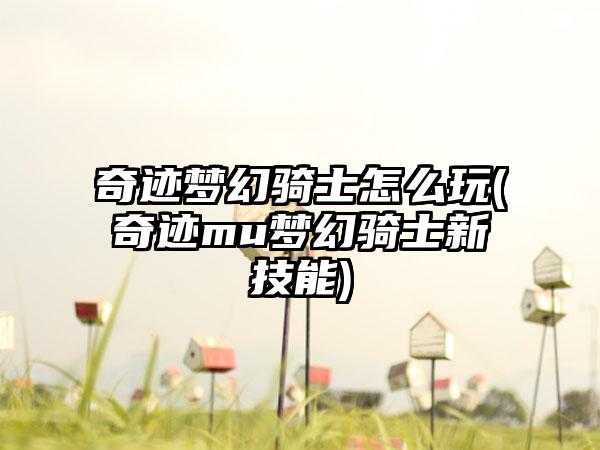 奇迹梦幻骑士怎么玩(奇迹mu梦幻骑士新技能)