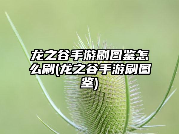 龙之谷手游刷图鉴怎么刷(龙之谷手游刷图鉴)