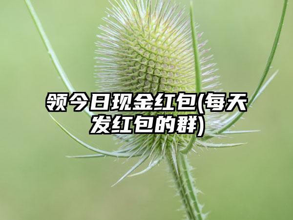 领今日现金红包(每天发红包的群)