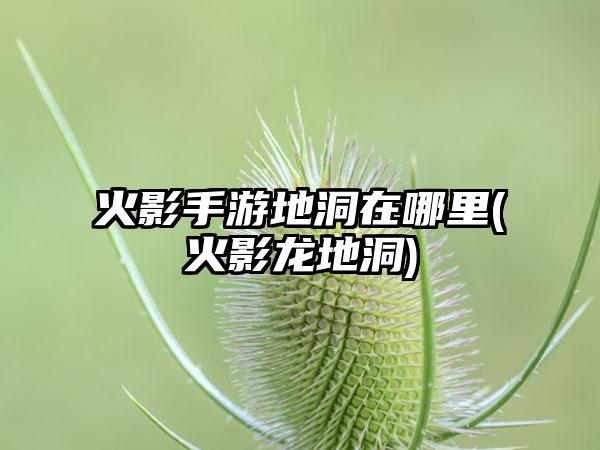 火影手游地洞在哪里(火影龙地洞)