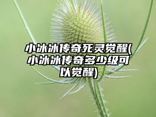 小冰冰传奇死灵觉醒(小冰冰传奇多少级可以觉醒)