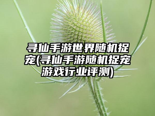 寻仙手游世界随机捉宠(寻仙手游随机捉宠游戏行业评测)