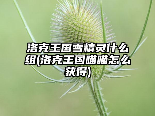洛克王国雪精灵什么组(洛克王国喵喵怎么获得)