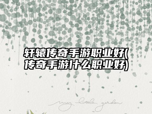 轩辕传奇手游职业好(传奇手游什么职业好)