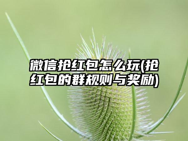 微信抢红包怎么玩(抢红包的群规则与奖励)