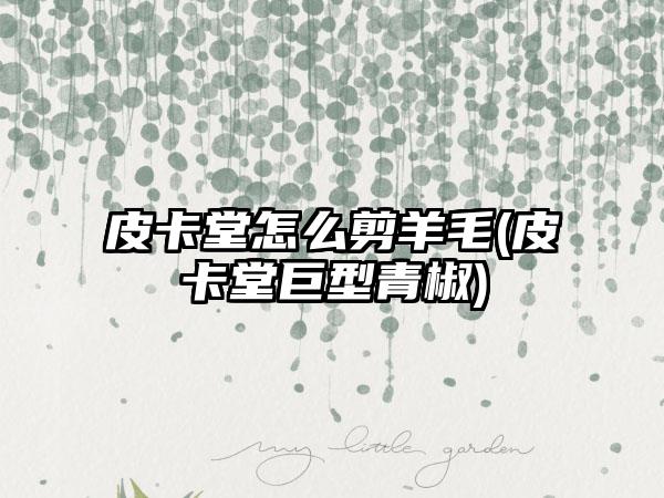 皮卡堂怎么剪羊毛(皮卡堂巨型青椒)