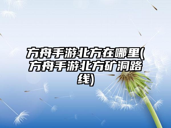 方舟手游北方在哪里(方舟手游北方矿洞路线)