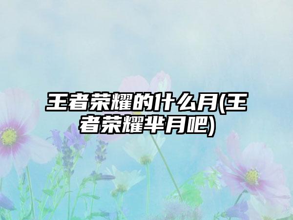 王者荣耀的什么月(王者荣耀芈月吧)