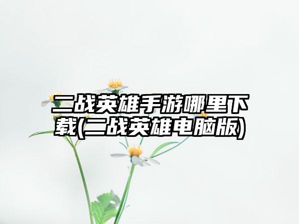 二战英雄手游哪里下载(二战英雄电脑版)