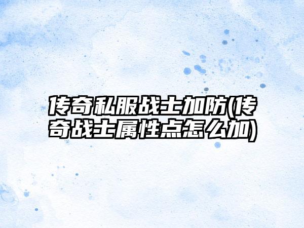 传奇私服战士加防(传奇战士属性点怎么加)