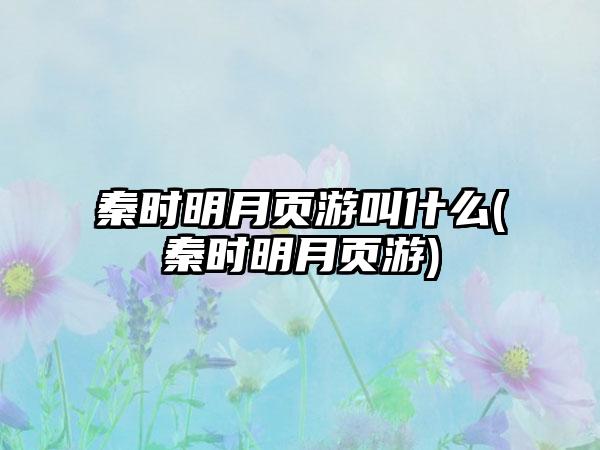 秦时明月页游叫什么(秦时明月页游)