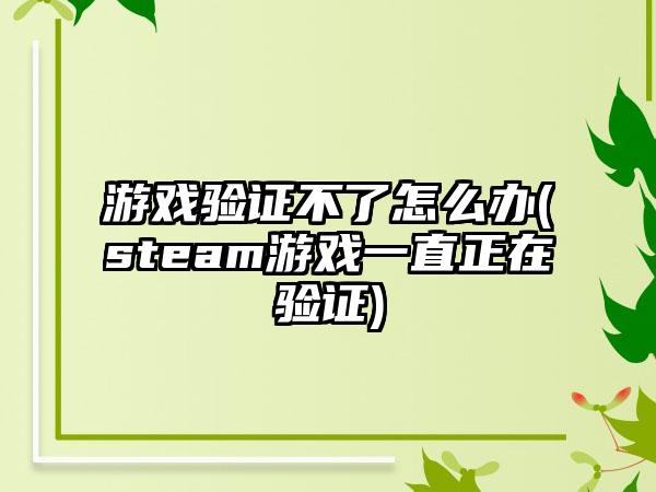 游戏验证不了怎么办(steam游戏一直正在验证)