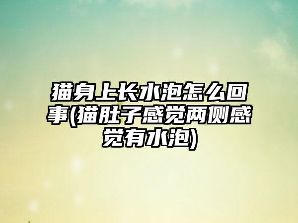 猫身上长水泡怎么回事(猫肚子感觉两侧感觉有水泡)