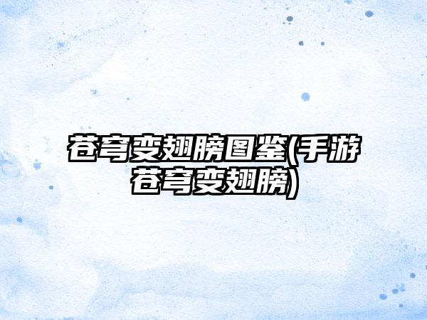 苍穹变翅膀图鉴(手游苍穹变翅膀)