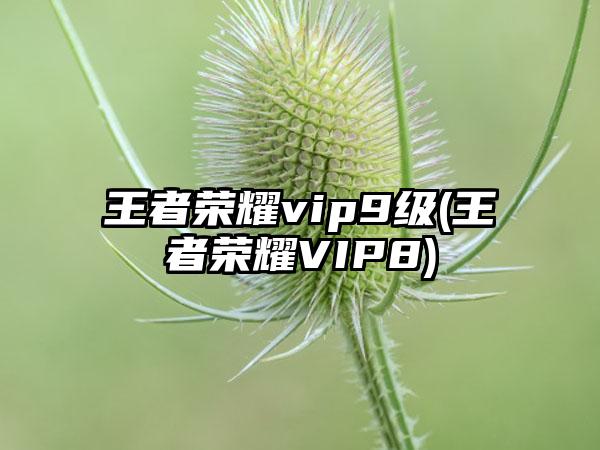 王者荣耀vip9级(王者荣耀VIP8)