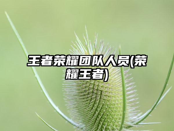 王者荣耀团队人员(荣耀王者)