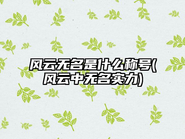 风云无名是什么称号(风云中无名实力)