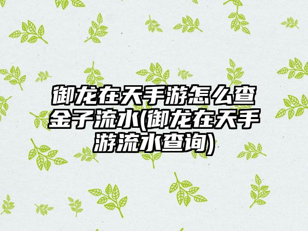 御龙在天手游怎么查金子流水(御龙在天手游流水查询)