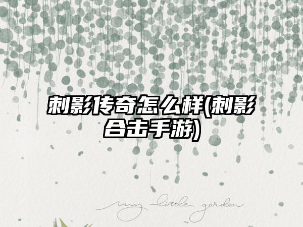 刺影传奇怎么样(刺影合击手游)