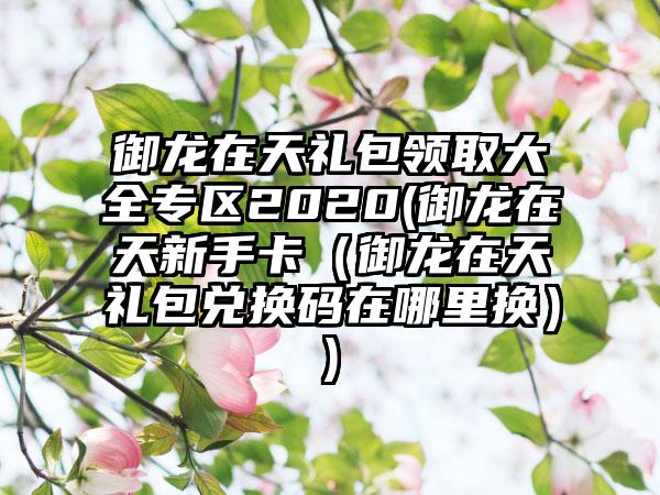 御龙在天礼包领取大全专区2020(御龙在天新手卡（御龙在天礼包兑换码在哪里换）)