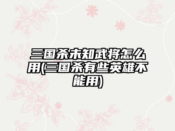 三国杀未知武将怎么用(三国杀有些英雄不能用)