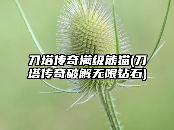 刀塔传奇满级熊猫(刀塔传奇破解无限钻石)