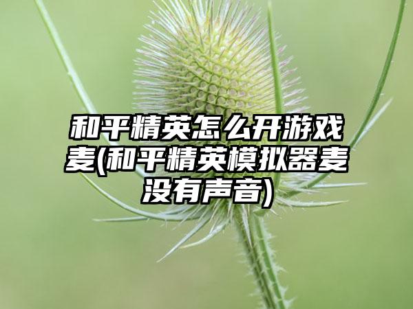 和平精英怎么开游戏麦(和平精英模拟器麦没有声音)