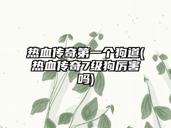 热血传奇第一个狗道(热血传奇7级狗厉害吗)