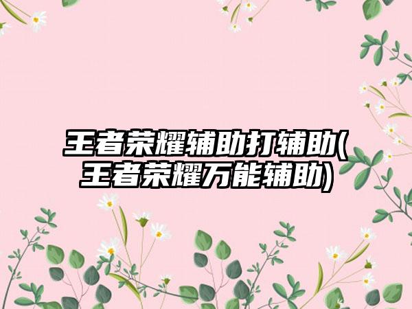 王者荣耀辅助打辅助(王者荣耀万能辅助)
