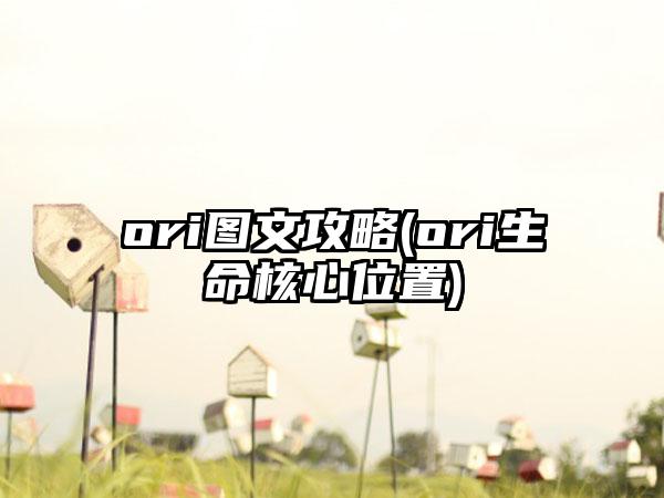ori图文攻略(ori生命核心位置)